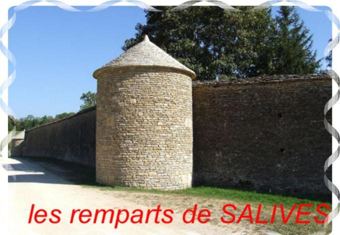 Le Puits Fortifie Salives エクステリア 写真